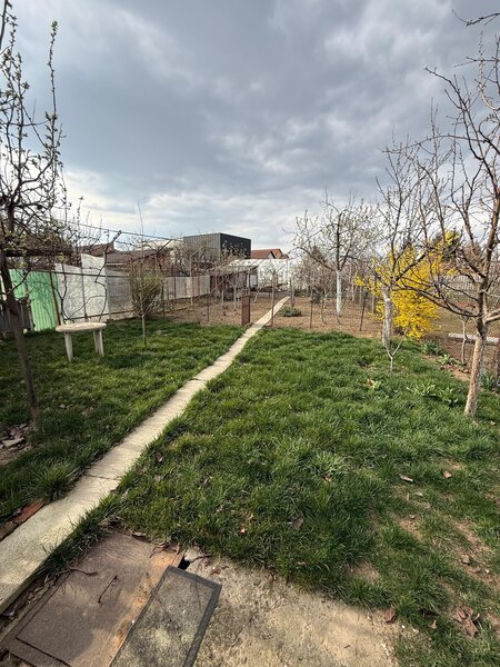 Iosia Piata Devei, Oradea